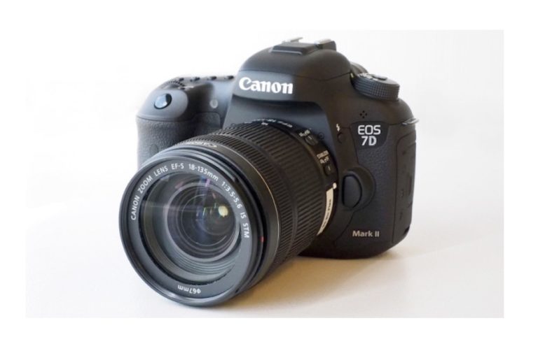 how to find canon 7d firmware version