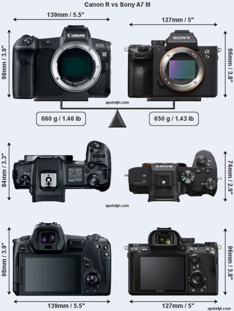 Canon Eos R Vs Nikon Z6 Vs Sony A7 Iii Size Comparison Daily Camera News 1940