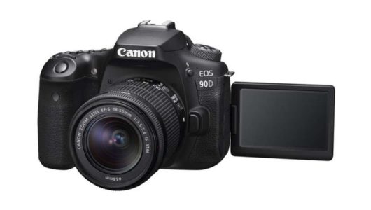 Best Landscape Lenses for Canon 90D - Daily Camera News